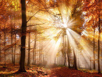spirit_shining